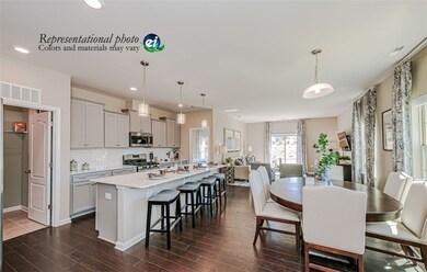 509 Brasstown Ct, Pendleton, SC 29670 - photo 4