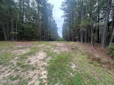 87 Highway 87, Forsyth, GA 31029 - photo 7