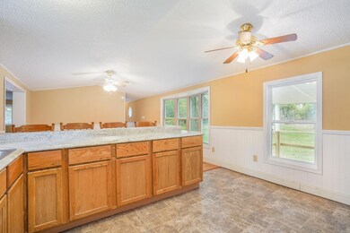 1061 E Lincoln St, Bitely, MI 49309 - photo 7