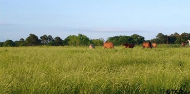 14388 Fm 850, Tyler, TX 75707 - photo 5