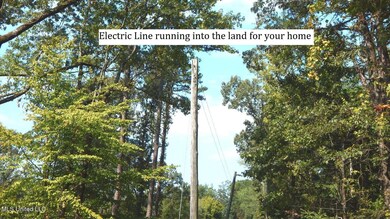 2380 Country Meadows, Grenada, MS 38901 - photo 6