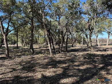 000 Bugle Ln, Victoria, TX 77905 - photo 4