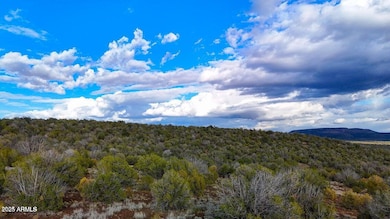 20250617194825315679000000-o