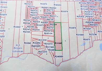 23810 Sanders Cemetary, Magnolia, TX 77355 - photo 4