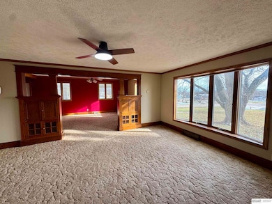 210 Pawnee St, Burchard, NE 68323 - photo 4