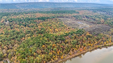 000 Co Rd 133, Plainview, AR 72857 - photo 3