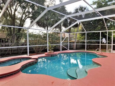 Pool & patio