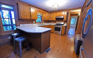 180 Bench Leg Rd, Mineral Bluff, GA 30559 - photo 5