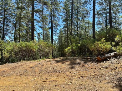 1815-Lot 397 E Summit View Dr, Meadow Vista, CA 95722 - photo 4