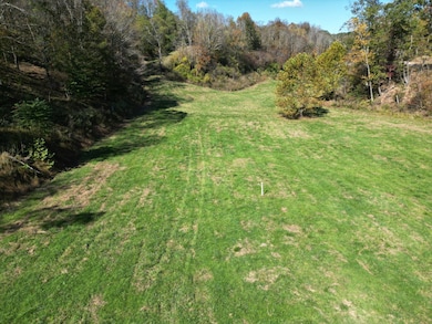 000 Field Hollow Rd, Spencer, WV 25276 - photo 2