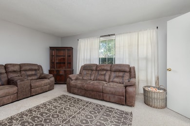 241 Meadow Hill Rd, Sheffield, AL 35660 - photo 5