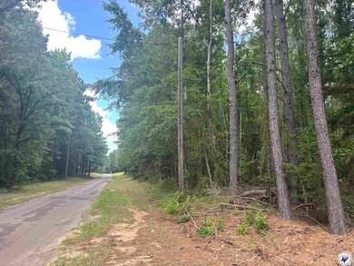 TBD CR 3 Fm 3129 -8 38, Queen City, TX 75572 - photo 4