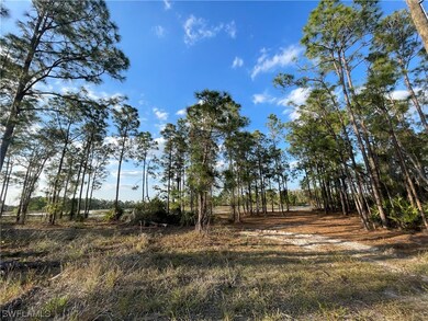 465 Burrstone Dr, Lehigh Acres, FL 33974 - photo 3