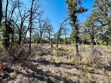 County Road 428, Cross Plains, TX 76443 - photo 6