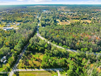 107 Pear St, Wewahitchka, FL 32465 - photo 3