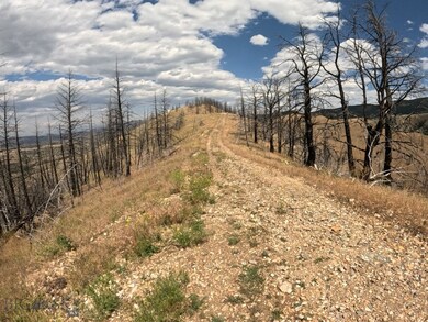 Lot 402 Lightning Ridge Trail, Ponderosa Pines, MT 59752 - photo 6