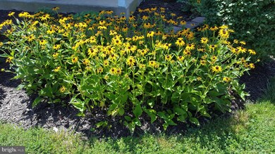 3341 Sudlersville S, Laurel, MD 20724 - photo 6