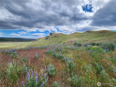 0 Old Highway 97 unit NWM2384392, Brewster, WA 98812 - photo 7