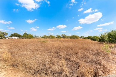 3041 Farm To Market Road 1333, Poteet, TX 78065 - photo 3