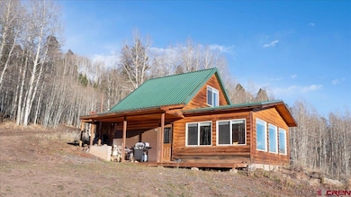 1901 Armitage Springs Rd, Powderhorn, CO 81243 - photo 3