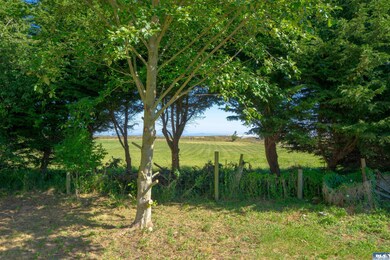 81 E Palmer St, Sequim, WA 98382 - photo 3