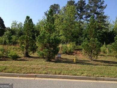 1002 Queens Bridge Way, Griffin, GA 30223 - photo 4