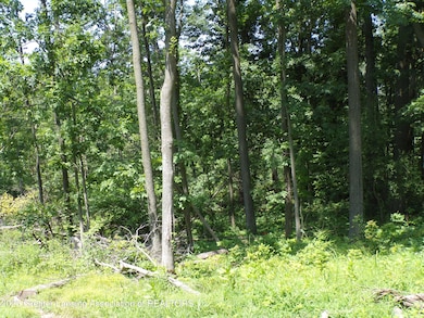 0 S Lacey Lake Rd unit 289887, Bellevue, MI 49021 - photo 6