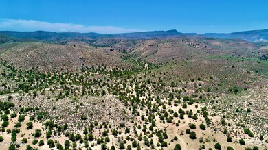 DJI_0132