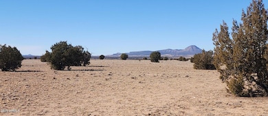 223 N Picacho Butte Dr, Ash Fork, AZ 86320 - photo 6