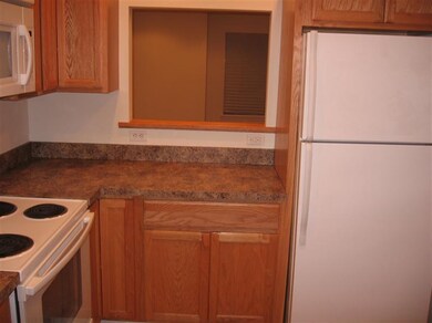 4227 Willard Ave, Sawyer, MI 49125 - photo 7