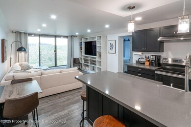 1316 Vine St unit 1316, Aspen, CO 81611 - photo 4
