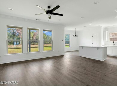 98 Margaret Lucia Dr, Maurice, LA 70555 - photo 4