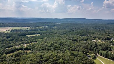 Drone / aerial view with a mountain view