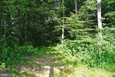 206 Christopher Rd, Warwick, MD 21912 - photo 4