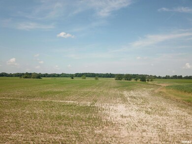 000 N Stanford Rd, Flora, IL 62839 - photo 7