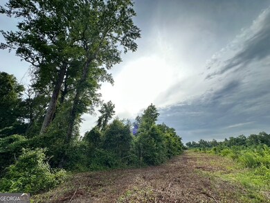 0 Bennett Colter Rd unit 10542243, Rentz, GA 31075 - photo 5