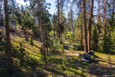 917 Tallaqua Dr, Grand Lake, CO 80447 - photo 2