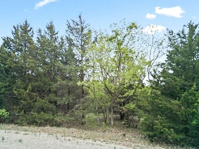 Winarsky Cir Ofc unit Edwards MO 65326, Hastain, MO 65326 - photo 7