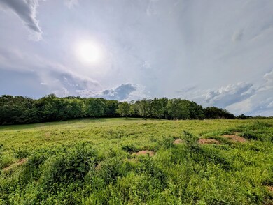 1112 Iron Bridge Rd, Columbia, TN 38401 - photo 5