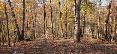 2540 Marsha Cir, Cumming, GA 30041 - photo 2