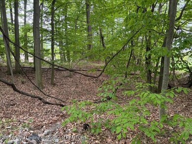 0 Sable Point Dr unit 286596, Benona Township, MI 49455 - photo 4