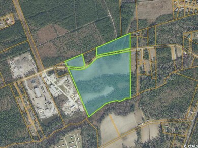 TBD Mount Pisgah Cemetery Rd unit Parcel C, Conway, SC 29526 - photo 2