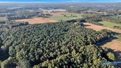 20 Acres Little Coffman Rd, Lester, AL 35647 - photo 2