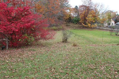 IMG_8904