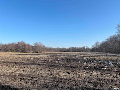 0000 N Dartmouth Ln, Mount Vernon, IL 62864 - photo 2