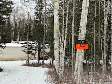 1837 Big Dipper Rd, Delta Junction, AK 99737 - photo 4