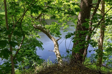 36 Charles St, Penacook, NH 03303 - photo 4