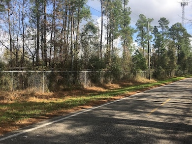 15859 Woodhollow Dr, Conroe, TX 77385 - photo 2