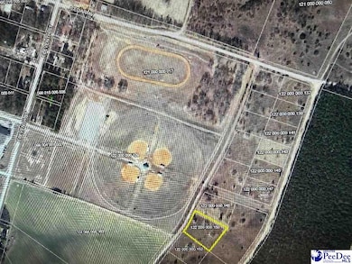 Lot 26 Norwood Farms, McBee, SC 29101 - photo 3