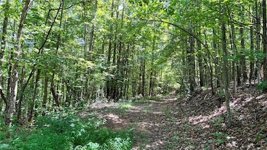 TBD2 Barlowe Place, Lenoir, NC 28645 - photo 7